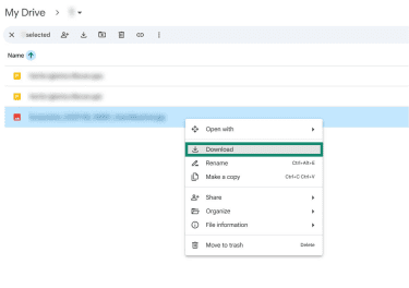 A Google Drive folder accessed on Windows 10. An image file is selected, and the